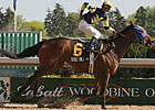 Canadian Champ Sealy Hill Heads Nassau Canadian Champ Sealy Hill Heads Nassau