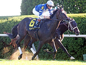 Commonwealth Turf Draws Field of 11 