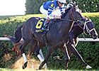 Seaspeak Looks Dangerous in Dallas Turf Cup