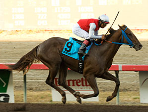 Roman Ruler Gets First Stakes Winner Roman Ruler Gets First Stakes Winner