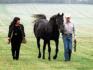 Final Call for Taylors of Seattle Slew Fame