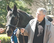 A Groom's View: Wade and Slew, Eye to Eye A Groom's View: Wade and Slew, Eye to Eye