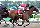 Grade I Winner Seattle Smooth Retired Grade I Winner Seattle Smooth Retired