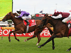 Sebring is an Aussie Star in the Making Sebring is an Aussie Star in the Making