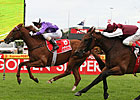 Sebring is an Aussie Star in the Making Sebring is an Aussie Star in the Making