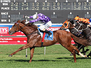 Australian Champ Sebring Out with Injury Australian Champ Sebring Out with Injury