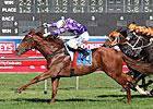 Australian Champ Sebring Out with Injury Australian Champ Sebring Out with Injury