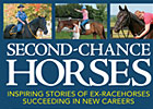 Second Chance Horses Book Released