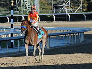 Podcast: Eclipse Awards 2013: Sprint Division Podcast: Eclipse Awards 2013: Sprint Division
