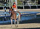 Podcast: Eclipse Awards 2013: Sprint Division Podcast: Eclipse Awards 2013: Sprint Division