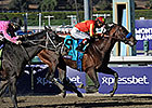 Secret Circle Part of Salty Palos Verdes Cast Secret Circle Part of Salty Palos Verdes Cast