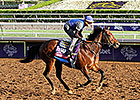 Cigar Mile Stakes Card Fields Taking Shape Cigar Mile Stakes Card Fields Taking Shape