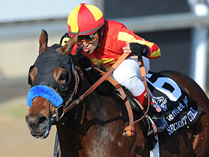 Secret Circle Makes 3YO Debut in Sham Stakes Secret Circle Makes 3YO Debut in Sham Stakes