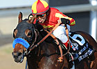 Secret Circle Makes 3YO Debut in Sham Stakes