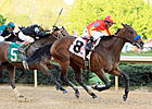 Injured Secret Circle Out of Derby Injured Secret Circle Out of Derby