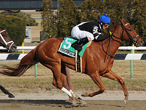 Secret Gypsy Earns Grade in Distaff H. Secret Gypsy Earns Grade in Distaff H.