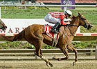 Secret Gypsy Prevails in Endine Stakes Secret Gypsy Prevails in Endine Stakes