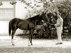 Secretariat Foaled 40 Years Ago Secretariat Foaled 40 Years Ago