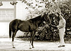 Secretariat Foaled 40 Years Ago Secretariat Foaled 40 Years Ago