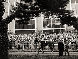 Secretariat Podcast: Belmont, Ron Turcotte Secretariat Podcast: Belmont, Ron Turcotte
