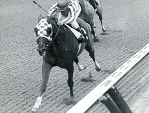 NYRA Posts YouTube 'Secretariat Collection' NYRA Posts YouTube 'Secretariat Collection'