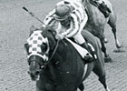 Secretariat Podcast Series: The Gotham Secretariat Podcast Series: The Gotham