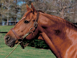 Thirty Horses Set for Saratoga Walk of Fame Thirty Horses Set for Saratoga Walk of Fame
