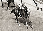 Secretariat Podcast: The Derby, Ron Turcotte