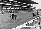 The Racing Hub: Marlboro Cup of Champions The Racing Hub: Marlboro Cup of Champions