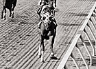 Secretariat's Preakness Time Under Review Secretariat's Preakness Time Under Review
