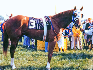 Events to Commemorate Secretariat's Crown Events to Commemorate Secretariat's Crown