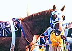 Events to Commemorate Secretariat's Crown Events to Commemorate Secretariat's Crown