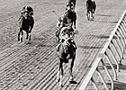 Secretariat Podcast: Preakness, Ron Turcotte