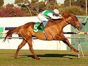 Seek Again Sneaks to Hollywood Derby Surprise Seek Again Sneaks to Hollywood Derby Surprise