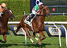 Seek Again Wins Fourstardave in Record Time Seek Again Wins Fourstardave in Record Time