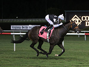 Day at the Parx for Sensible Lady, Pool Play Day at the Parx for Sensible Lady, Pool Play