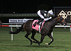 Day at the Parx for Sensible Lady, Pool Play Day at the Parx for Sensible Lady, Pool Play