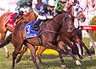 Tantalizing Turf Stakes on Preakness Program Tantalizing Turf Stakes on Preakness Program
