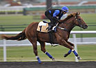 Dubai Interview: Peter Snowden Dubai Interview: Peter Snowden