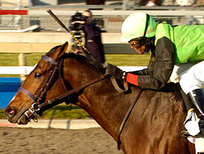 Stakes Winner, Producer Daijin Euthanized Stakes Winner, Producer Daijin Euthanized