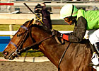 Stakes Winner, Producer Daijin Euthanized Stakes Winner, Producer Daijin Euthanized