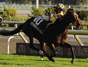 Filly Serious Attitude Beats Boys in Nearctic Filly Serious Attitude Beats Boys in Nearctic