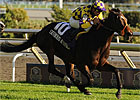 Filly Serious Attitude Beats Boys in Nearctic