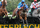 Sermon of Love Takes Turf Writers Cup 'Chase 