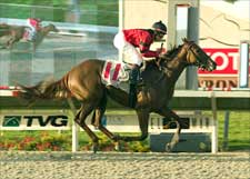 Set Play Scores for Underdogs in Del Mar Debutante Set Play Scores for Underdogs in Del Mar Debutante