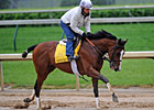 Setsuko Set to Go in American Turf Setsuko Set to Go in American Turf