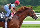 Shack on Track to Set Belmont Pace Shack on Track to Set Belmont Pace