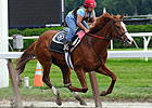 Nominees for Clark, Other Stakes Released