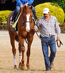 Shake Shack Along for Ride With Shackleford Shake Shack Along for Ride With Shackleford