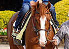 Shake Shack Along for Ride With Shackleford